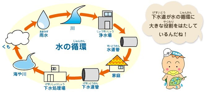 下水道が水の循環に大きな役割を果たしているんだね