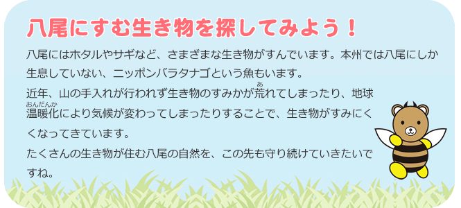 八尾にすむ生き物を探してみよう。